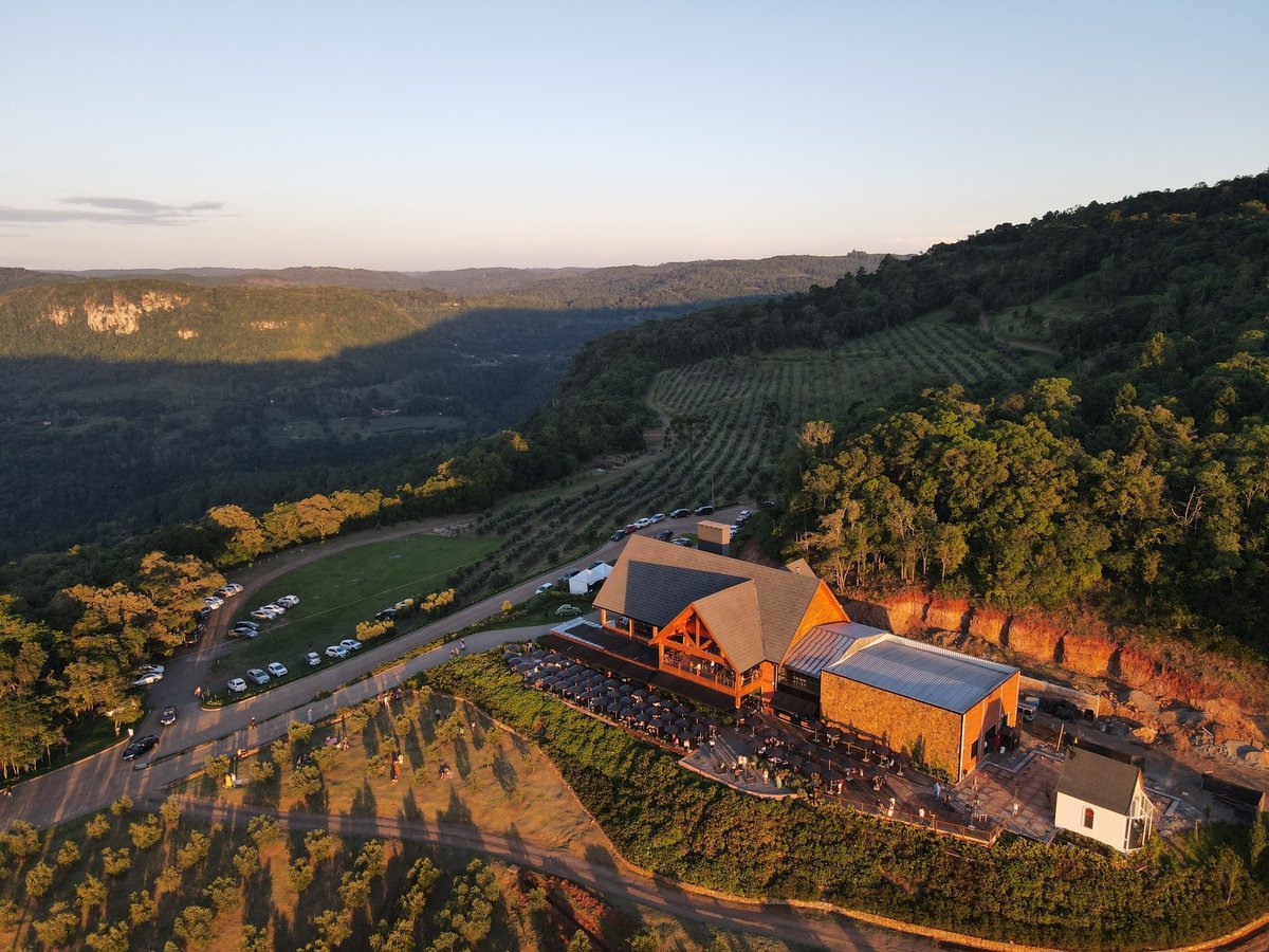 Olivas de Gramado 3