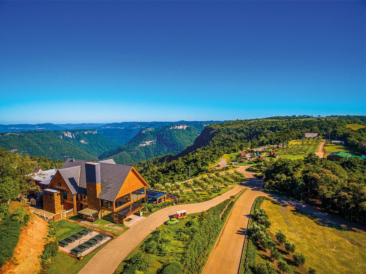 Olivas de Gramado 4